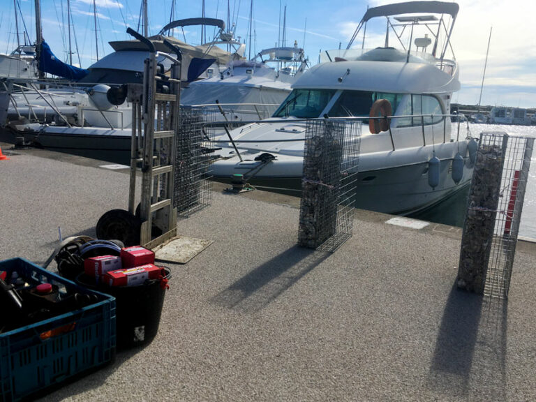 Port de valras : installation de nurseries à poissons